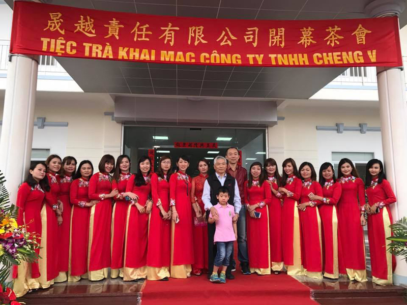 Cheng V 3