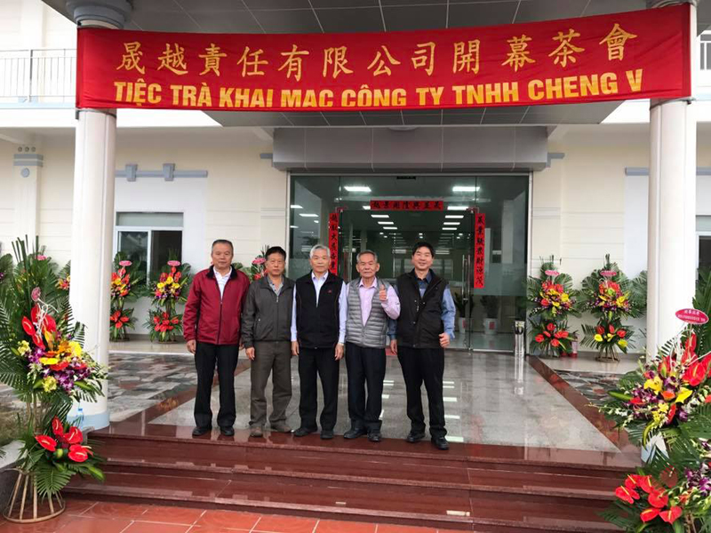 Cheng V 9