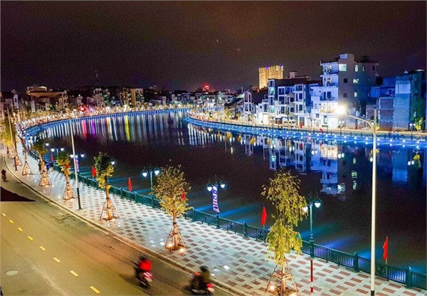 vi pho di bo tam bac voi phuong hoang co tran dan tinh phan bac